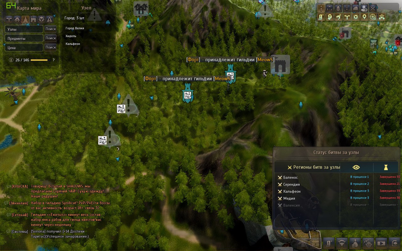 Гильдия MeowS в Black Desert Online